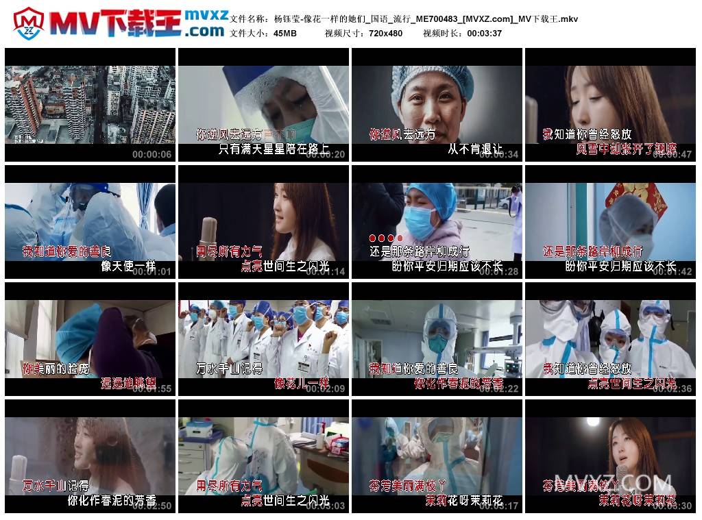 杨钰莹-像花一样的她们_国语_流行_ME700483